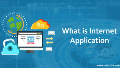 What You Should Know about Internet Application Training