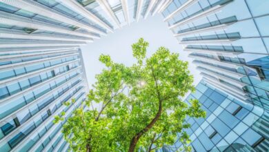 How Businesses Can Become Eco-Friendly