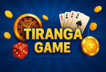 Top Security Checks Before Downloading Any Tiranga Game App