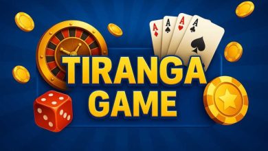 Top Security Checks Before Downloading Any Tiranga Game App